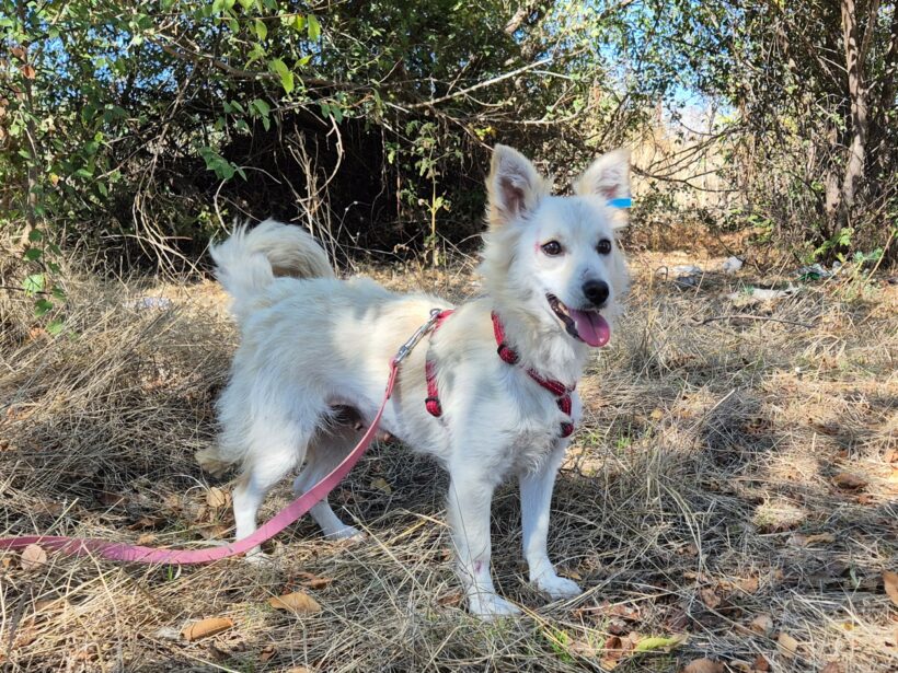 Yuki