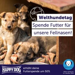 Welthundetag – 50 % mehr Futter für unsere Schützlinge! Nur am Freitag, den 10. Oktober!