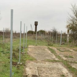 Update zu unserem Auslauf-Projekt