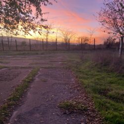 Ein Platz zum Rennen, Spielen und einfach Hund sein – bitte helfen Sie uns, diesen Traum wahr werden zu lassen!