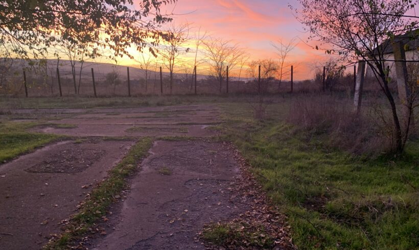 Ein Platz zum Rennen, Spielen und einfach Hund sein – bitte helfen Sie uns, diesen Traum wahr werden zu lassen!