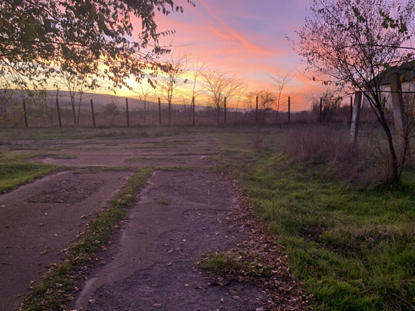 Ein Platz zum Rennen, Spielen und einfach Hund sein – bitte helfen Sie uns, diesen Traum wahr werden zu lassen! Ein Platz zum Rennen, Spielen und einfach Hund sein – bitte helfen Sie uns, diesen Traum wahr werden zu lassen!