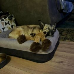 Neun kleine Wunder auf dem Weg ins Glück – unsere Winter-Glückspilze sind Zuhause angekommen!