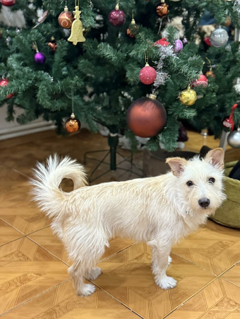 Willkommen 2026 Willkommen 2026