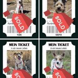 Happy End Express – & Hilfe, die weiterreist