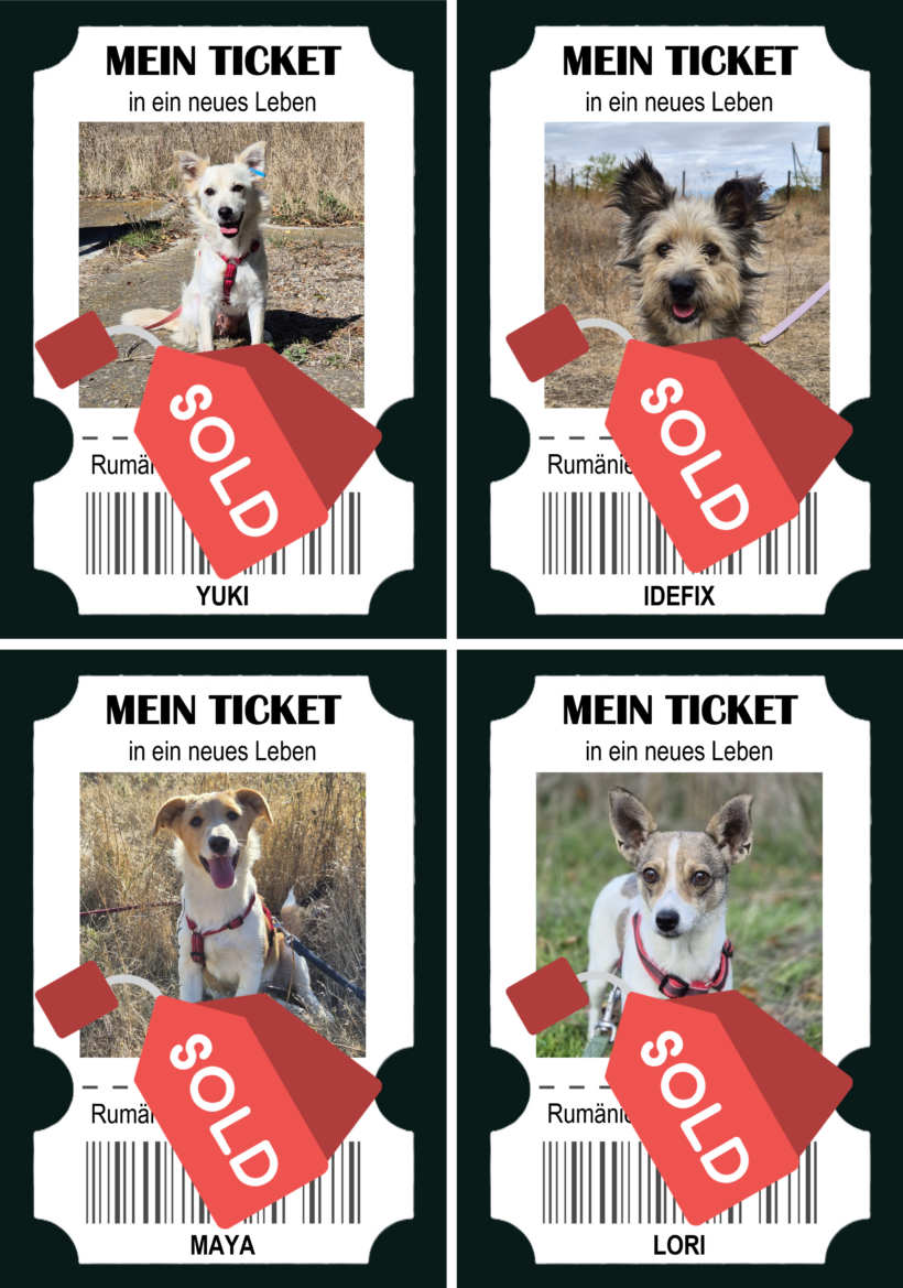 Happy End Express – & Hilfe, die weiterreist