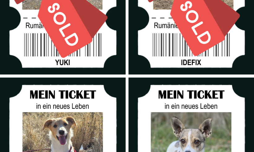 Happy End Express – & Hilfe, die weiterreist