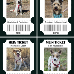 Happy End Express – & Hilfe, die weiterreist