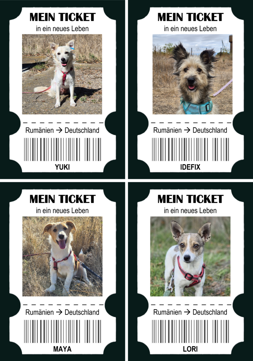 Happy End Express – & Hilfe, die weiterreist