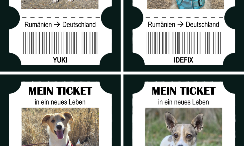 Happy End Express – & Hilfe, die weiterreist