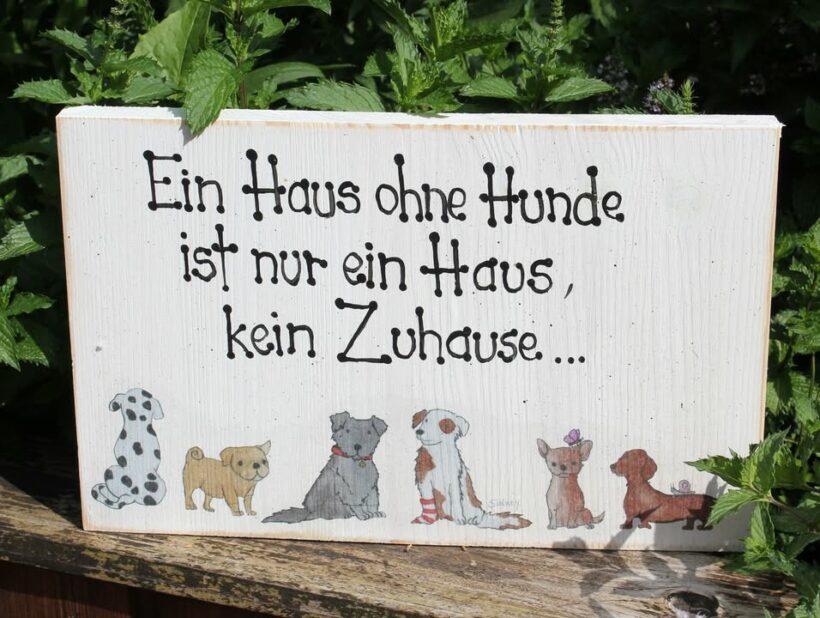 Schilderaktion für Hope for lost Souls e.V.