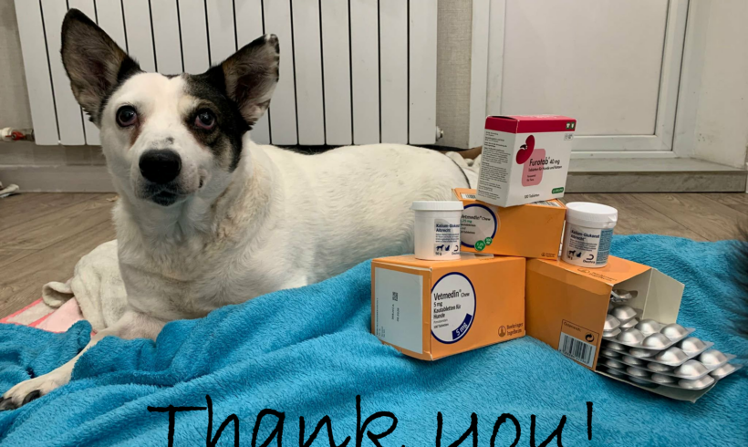 Update zu unserem Spendenaufruf für Bella