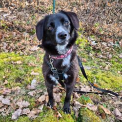 Rückblick auf neun besondere Happy Ends