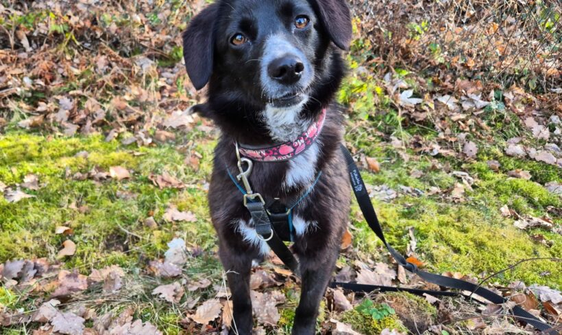 Rückblick auf neun besondere Happy Ends