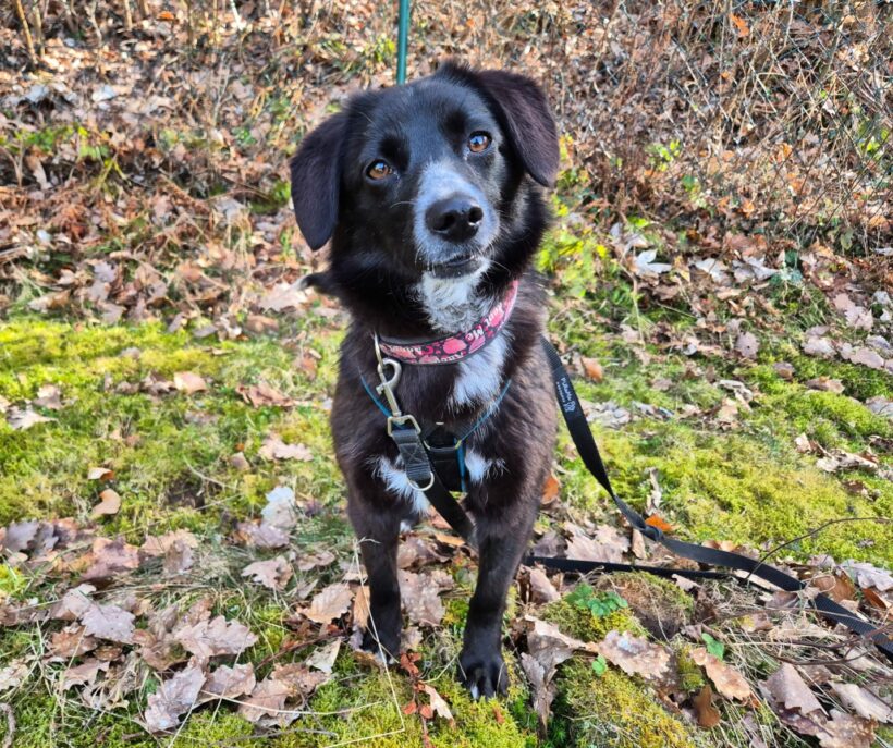 Rückblick auf neun besondere Happy Ends Rückblick auf neun besondere Happy Ends