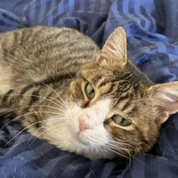 Tommi braucht Ihre Unterstützung – jetzt zählt jede Hilfe