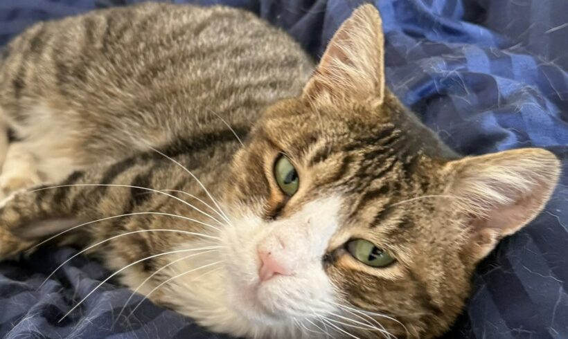 Tommi braucht Ihre Unterstützung – jetzt zählt jede Hilfe