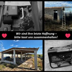 Sie haben alles verloren – bitte helfen Sie uns, ihren Traum zu retten