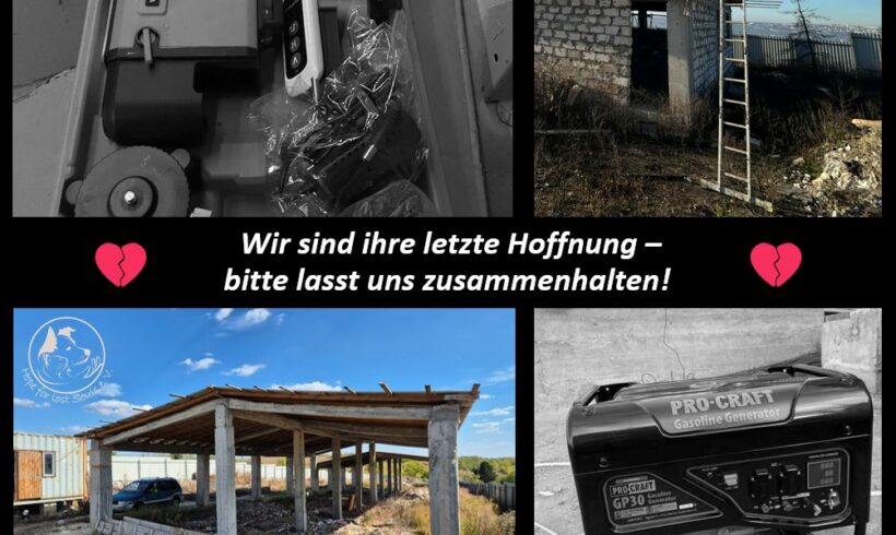 Sie haben alles verloren – bitte helfen Sie uns, ihren Traum zu retten