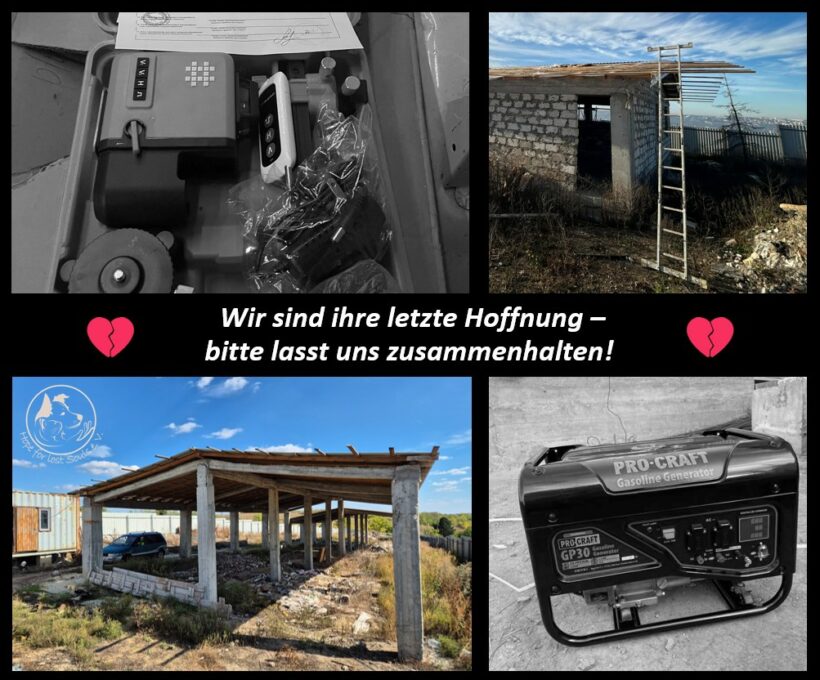 Sie haben alles verloren – bitte helfen Sie uns, ihren Traum zu retten