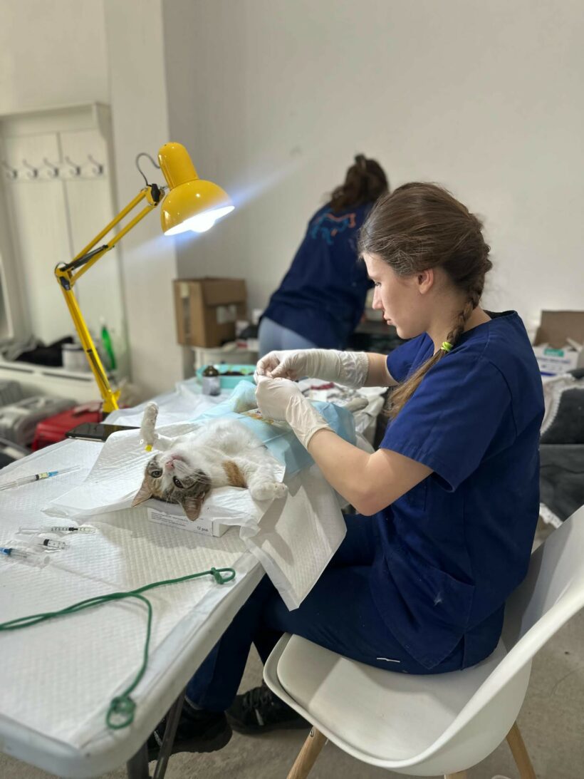 Rumänien, April 2026 (2)