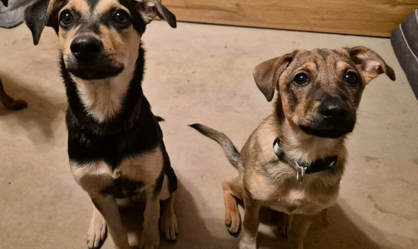 Sechs Seelen auf dem Weg ins Glück