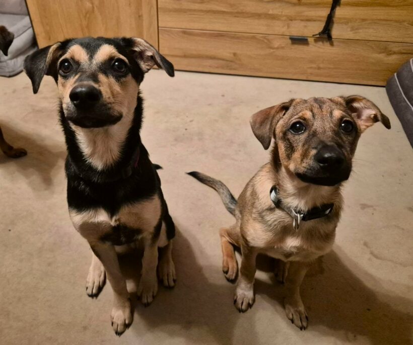 Sechs Seelen auf dem Weg ins Glück