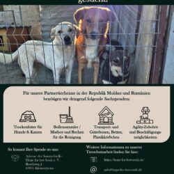 Wir fahren wieder nach Osteuropa – und brauchen Sie an unserer Seite