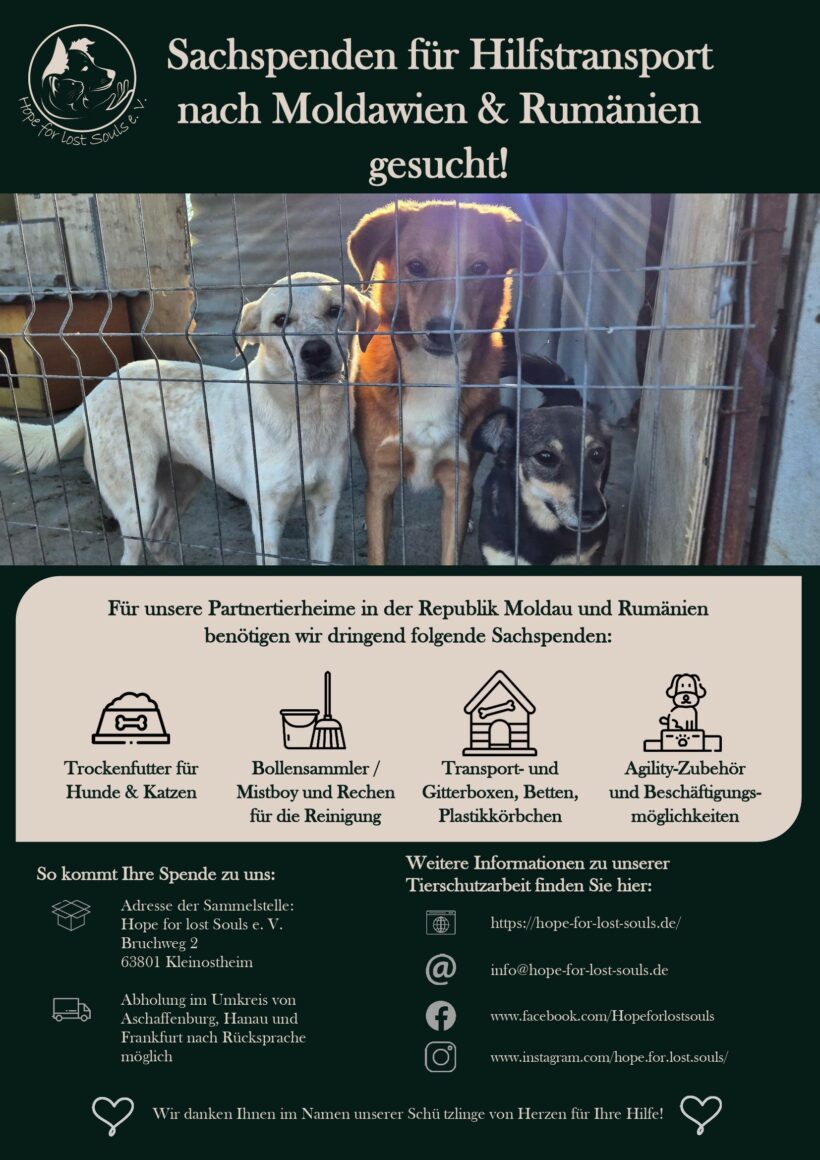 Wir fahren wieder nach Osteuropa – und brauchen Sie an unserer Seite Wir fahren wieder nach Osteuropa – und brauchen Sie an unserer Seite