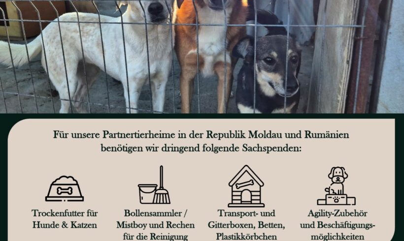 Wir fahren wieder nach Osteuropa – und brauchen Sie an unserer Seite