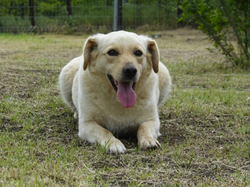 Sam