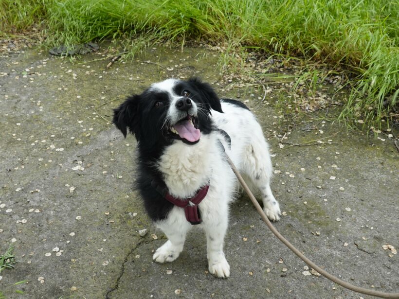 Elly