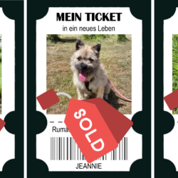Drei Tickets ins Glück – und drei Chancen auf eine bessere Zukunft