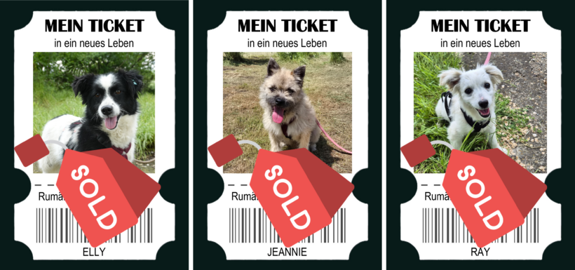 Drei Tickets ins Glück – und drei Chancen auf eine bessere Zukunft