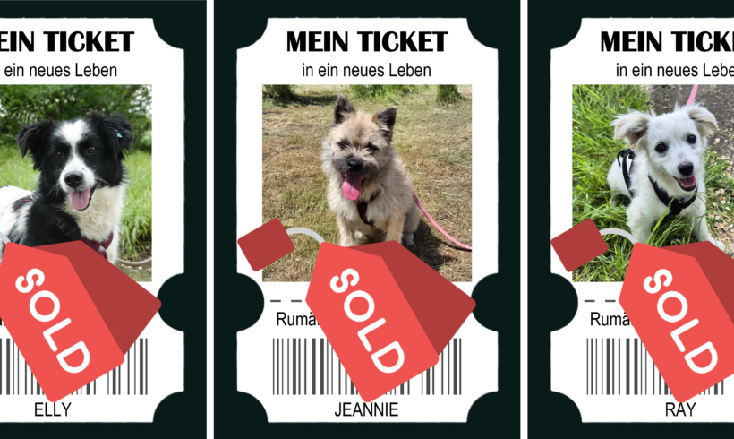Drei Tickets ins Glück – und drei Chancen auf eine bessere Zukunft
