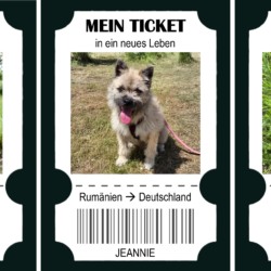 Drei Tickets ins Glück – und drei Chancen auf eine bessere Zukunft