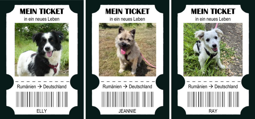 Drei Tickets ins Glück – und drei Chancen auf eine bessere Zukunft