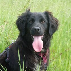 Marley